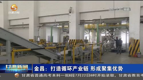 金昌 打造循环产业链 形成聚集优势