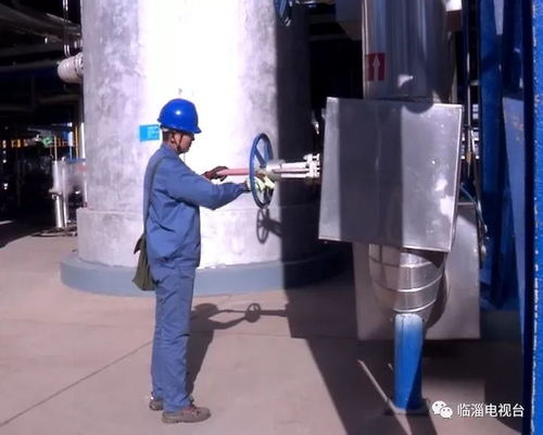 临淄这个化工企业犹如花园一般,它是怎么做到的