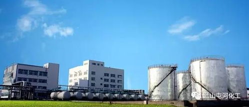 公众平台 新材料公司 石墨料eps 正式亮相,标志着公司质量管理 科技创新工作迈上新的台阶,更为建筑节能事业贡献智慧与力量