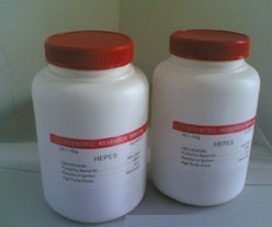 Spectrun进口对二甲苯_上海劲马生物科技_化工产品_精细化工_生物试剂 _阿仪网