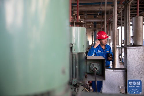 东北石化产业“减油增化”转型之路：化工设备销售的新机遇与挑战