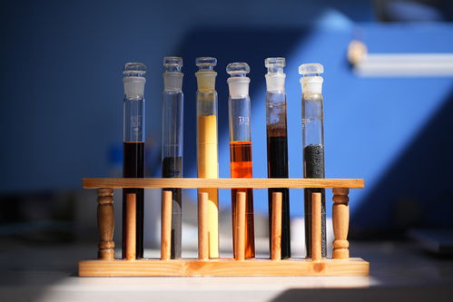 柔性引才培育创新沃土 云南化工原料产业的新质生产力实践