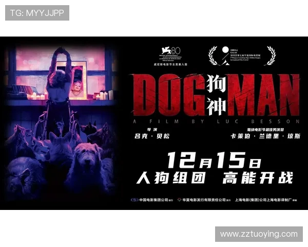 狗神豆瓣：一只狗的忠诚与奇迹如何改变命运的温情故事