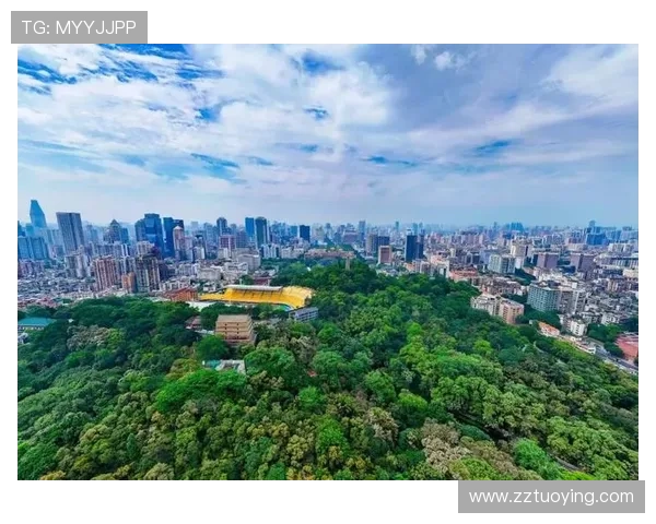 摩天大楼:不止是钢筋水泥,更是时代的精神坐标