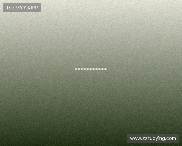 印度金奈快车:一场穿越时空的味蕾与心灵之旅 印度金奈快车:一场穿越时空的味蕾与心灵之旅